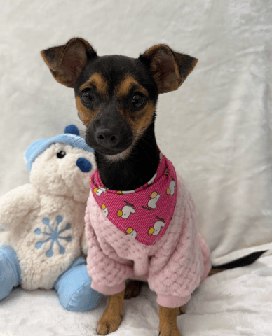 Screenshot 2026-02-04 at 5.36.55 PM.png