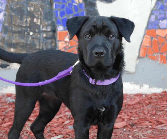 Screenshot 2026-02-09 at 5.44.57 PM.png