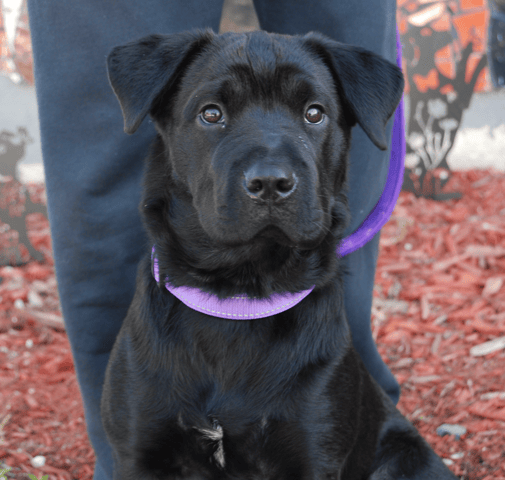 Screenshot 2026-02-09 at 5.44.44 PM.png