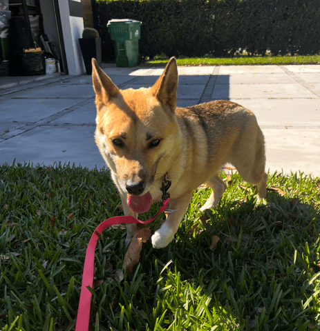 Screenshot 2026-02-27 at 10.12.44 AM.png