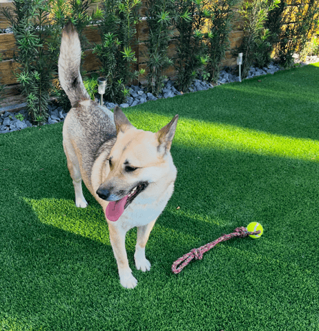 Screenshot 2026-02-27 at 10.12.55 AM.png