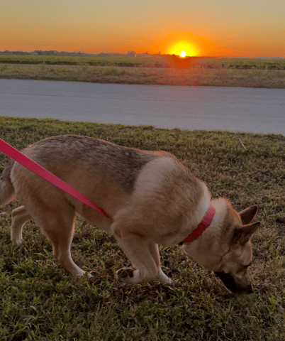 Screenshot 2026-02-27 at 10.13.07 AM.png