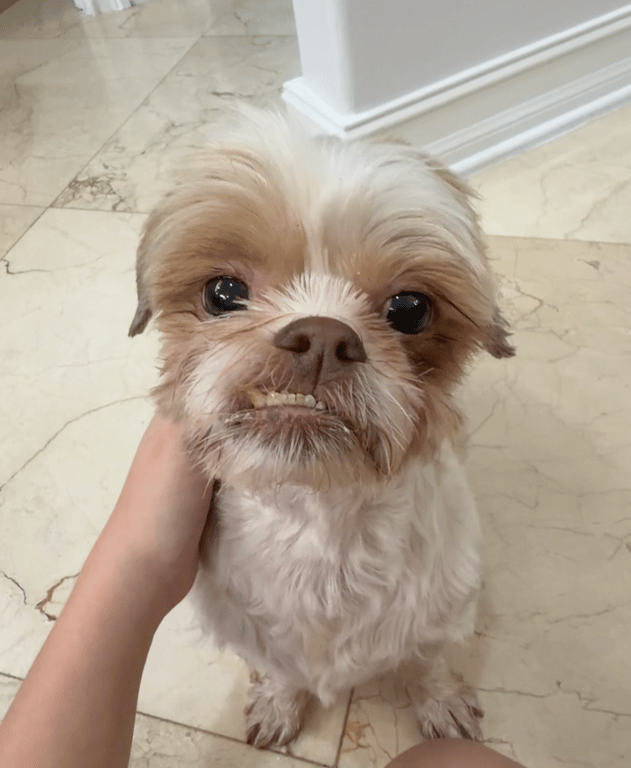 Screenshot 2026-03-05 at 7.44.46 PM.png