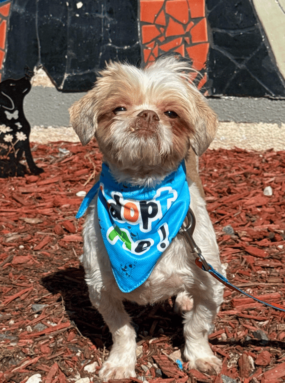 Screenshot 2026-03-05 at 7.42.21 PM.png