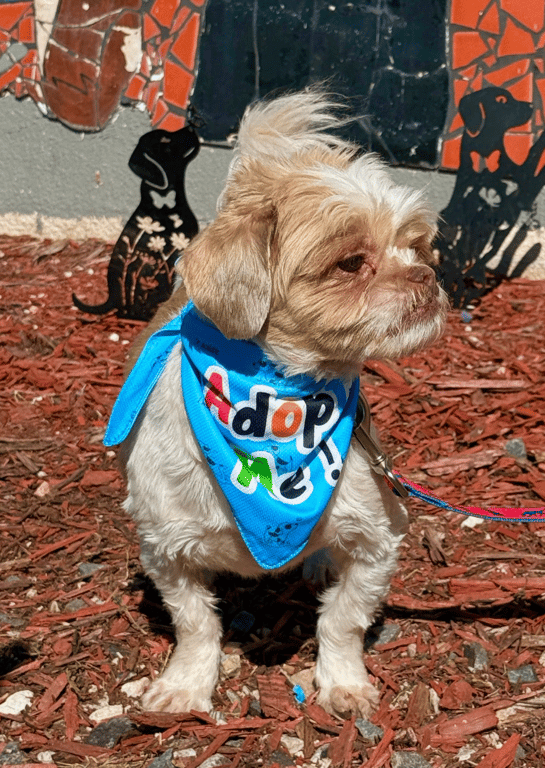 Screenshot 2026-03-05 at 7.42.29 PM.png