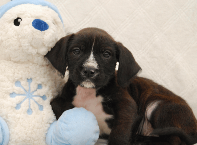 Screenshot 2026-03-06 at 12.25.13 AM.png