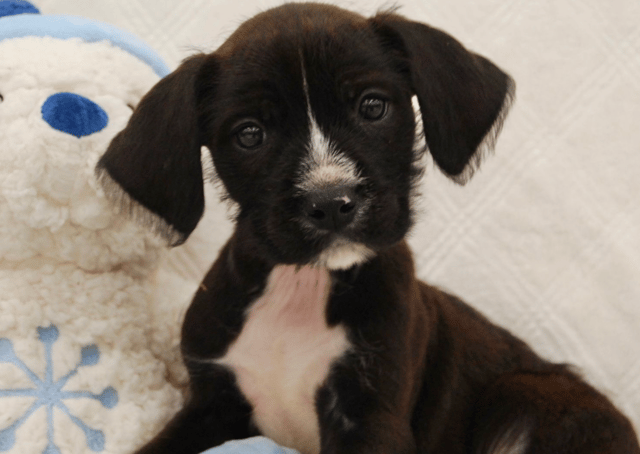 Screenshot 2026-03-06 at 12.25.26 AM.png