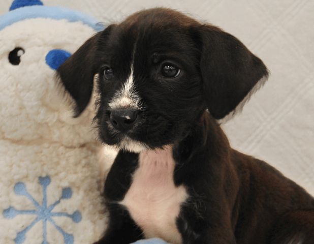 Screenshot 2026-03-06 at 12.25.34 AM.png