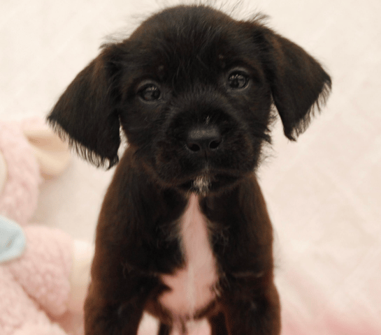 Screenshot 2026-03-06 at 10.21.52 PM.png