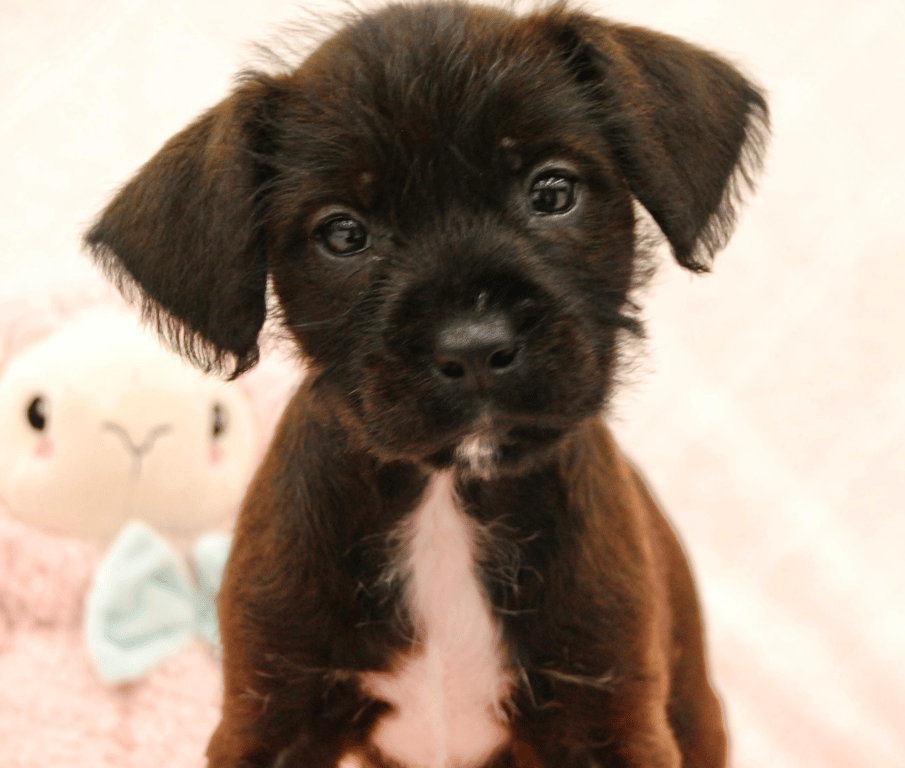 Screenshot 2026-03-06 at 10.21.46 PM.png