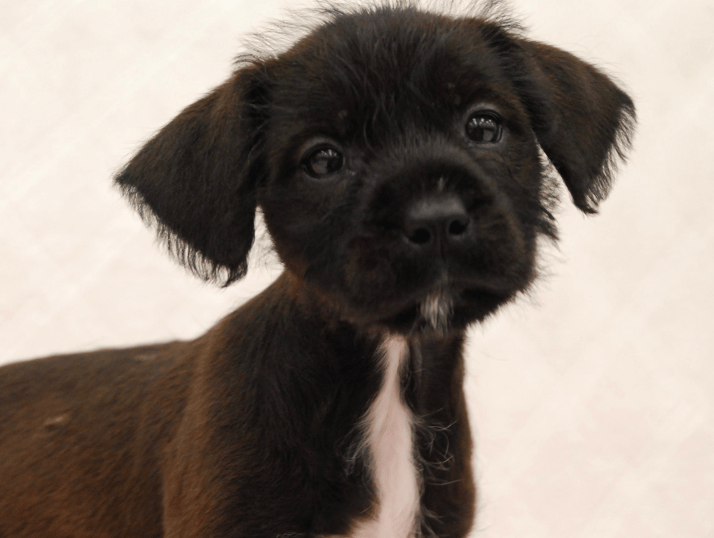 Screenshot 2026-03-06 at 10.21.38 PM.png