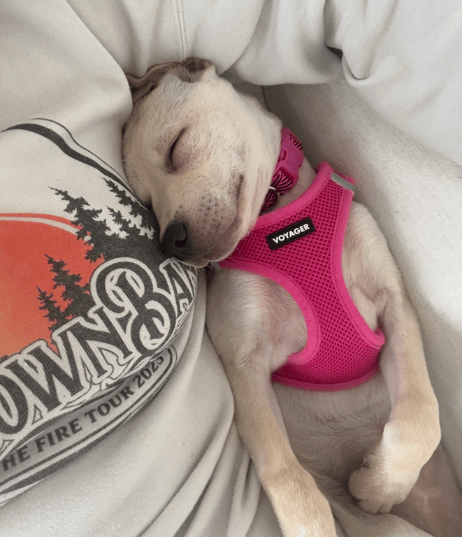 Screenshot 2026-03-23 at 5.05.46 PM.png