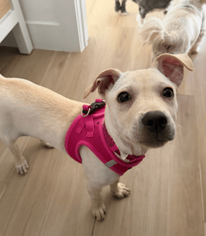 Screenshot 2026-03-23 at 5.05.37 PM.png