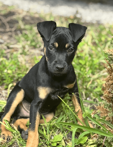 Screenshot 2026-03-23 at 5.09.56 PM.png