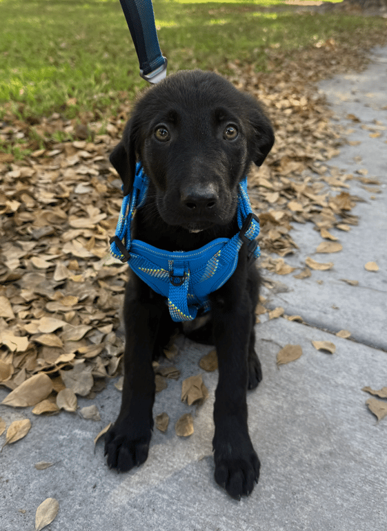 Screenshot 2026-04-02 at 3.26.12 PM.png