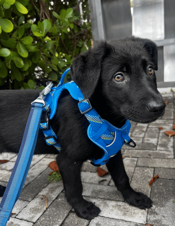 Screenshot 2026-04-02 at 3.25.33 PM.png