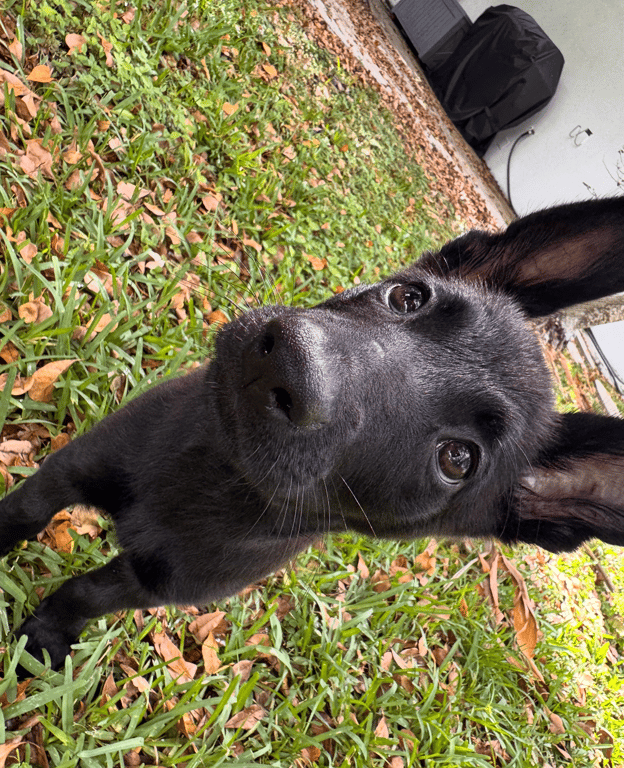 Screenshot 2026-04-02 at 3.28.29 PM.png