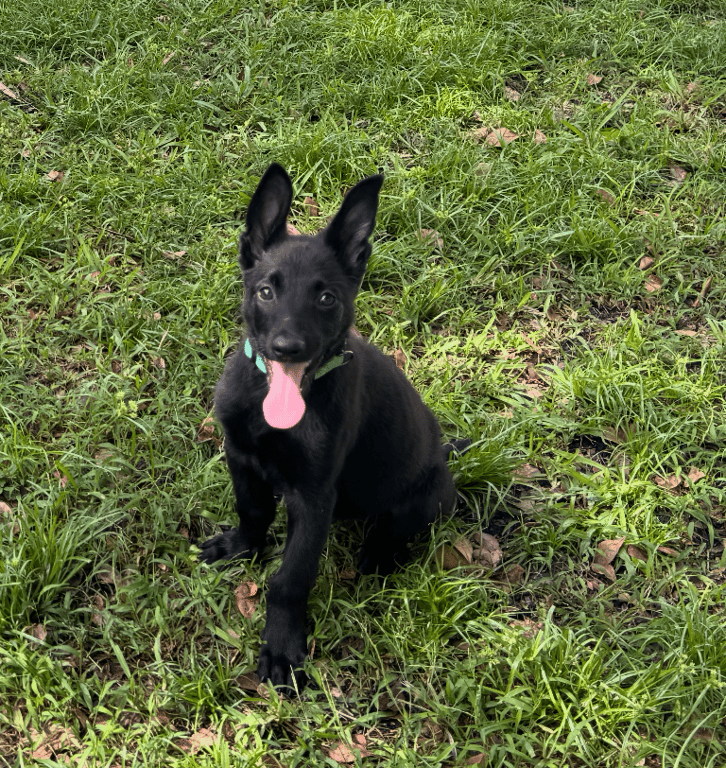 Screenshot 2026-04-02 at 3.28.06 PM.png