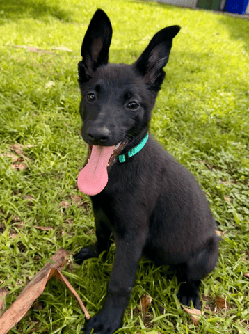 Screenshot 2026-04-02 at 3.27.58 PM.png