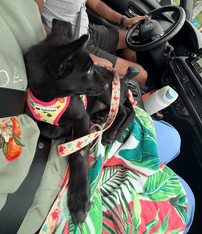 Screenshot 2026-04-02 at 3.30.34 PM.png