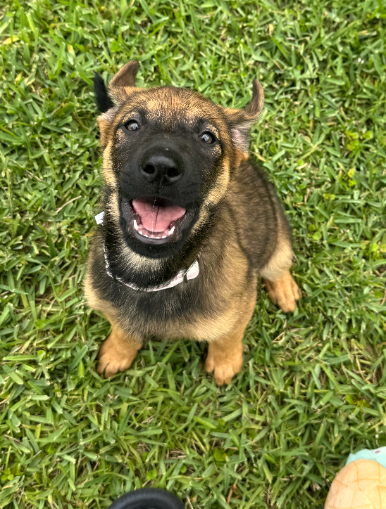 Screenshot 2026-04-02 at 3.32.13 PM.png