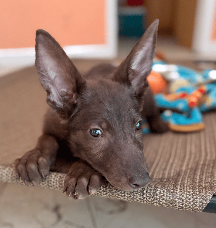 Screenshot 2026-04-13 at 1.29.54 PM.png