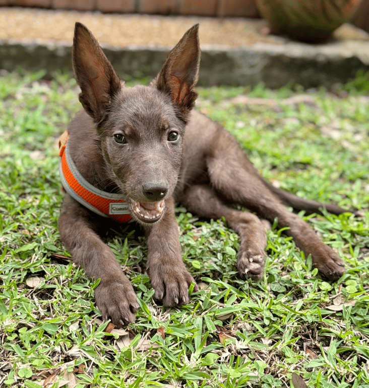 Screenshot 2026-04-13 at 1.30.38 PM.png