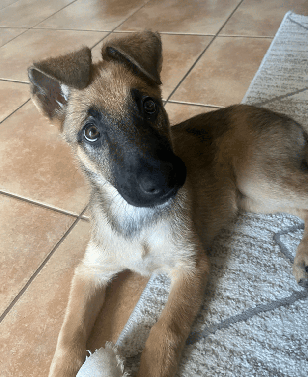 Screenshot 2026-04-13 at 1.32.14 PM.png