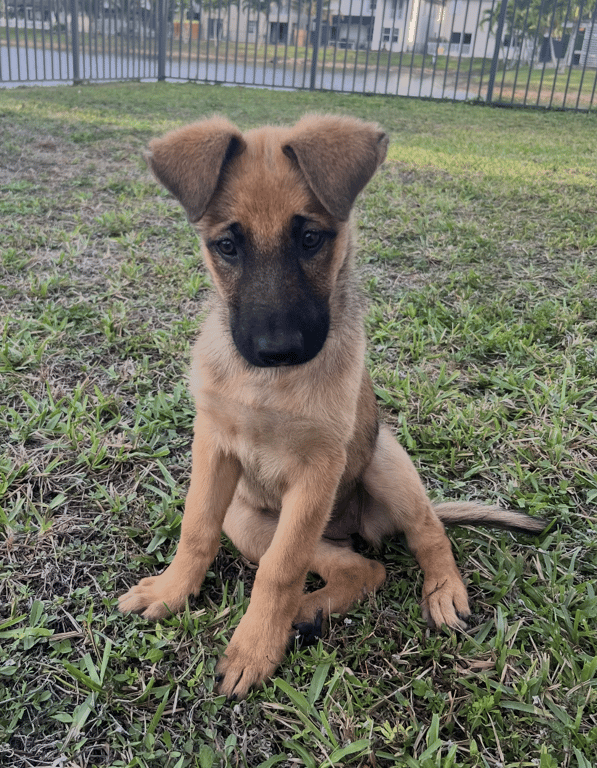 Screenshot 2026-04-13 at 1.33.25 PM.png