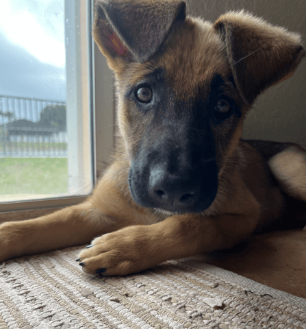 Screenshot 2026-04-13 at 1.33.36 PM.png