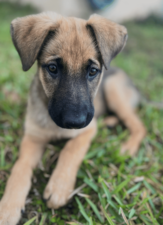 Screenshot 2026-04-13 at 1.34.24 PM.png