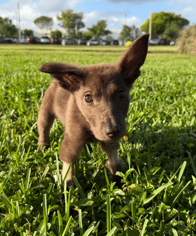 Screenshot 2026-04-13 at 1.36.51 PM.png