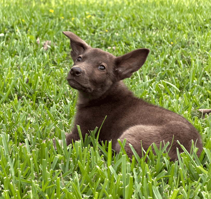 Screenshot 2026-04-13 at 1.36.59 PM.png