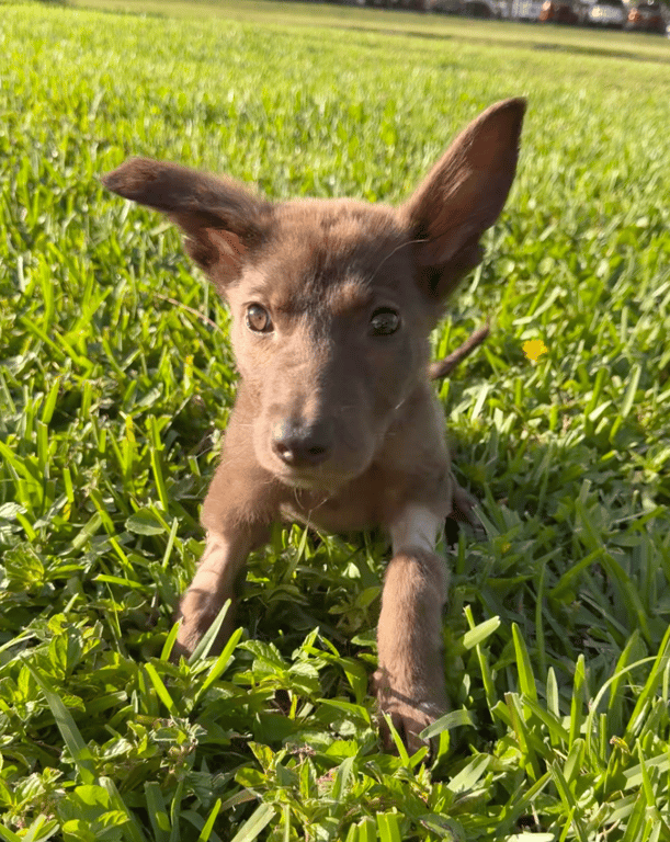 Screenshot 2026-04-13 at 1.38.25 PM.png