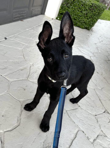 Screenshot 2026-04-13 at 1.49.24 PM.png