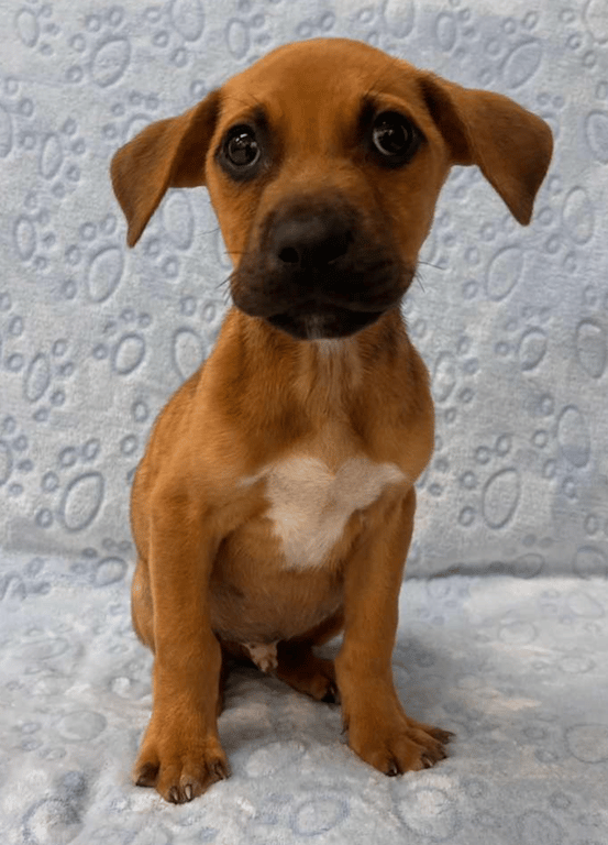 Screenshot 2026-04-15 at 4.24.24 PM.png