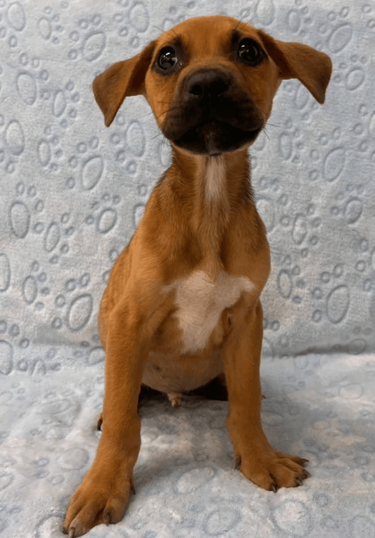 Screenshot 2026-04-15 at 4.24.19 PM.png