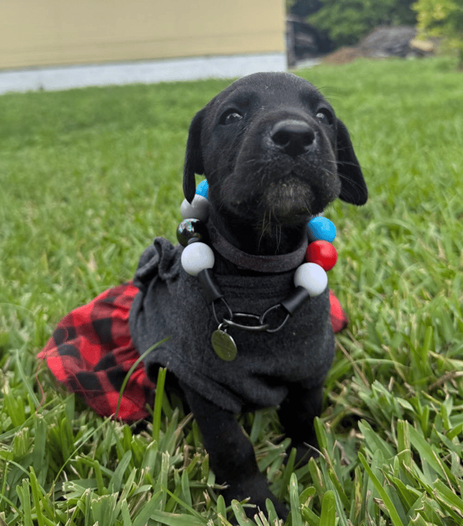 Screenshot 2026-04-15 at 4.40.26 PM.png