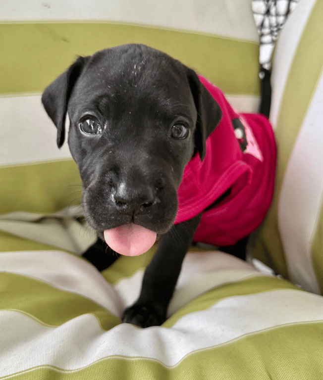 Screenshot 2026-04-15 at 4.42.25 PM.png