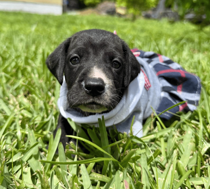 Screenshot 2026-04-15 at 4.44.12 PM.png