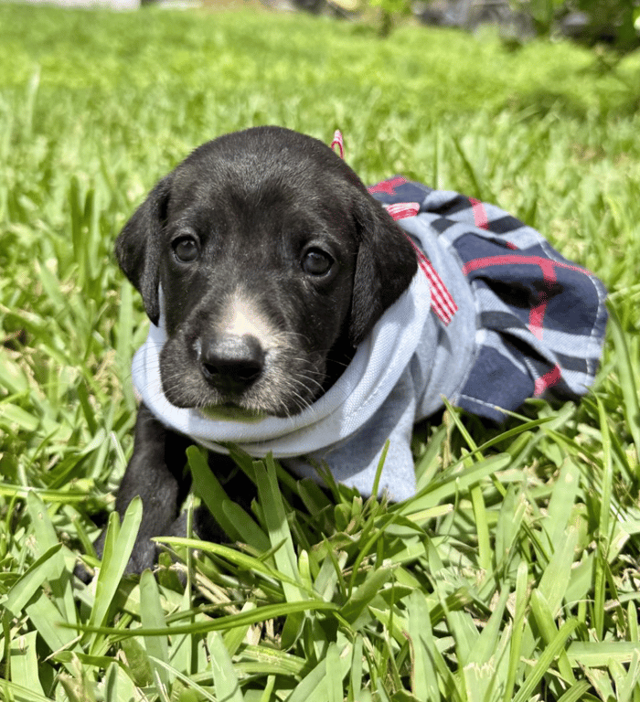 Screenshot 2026-04-15 at 4.44.08 PM.png