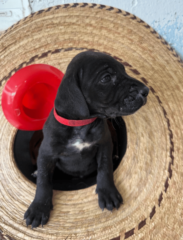 Screenshot 2026-04-15 at 4.50.36 PM.png