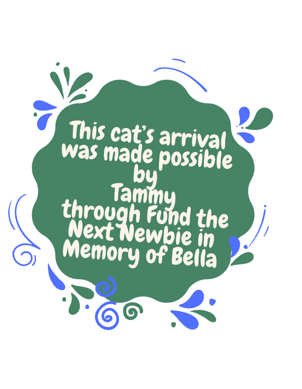 FTNN.png