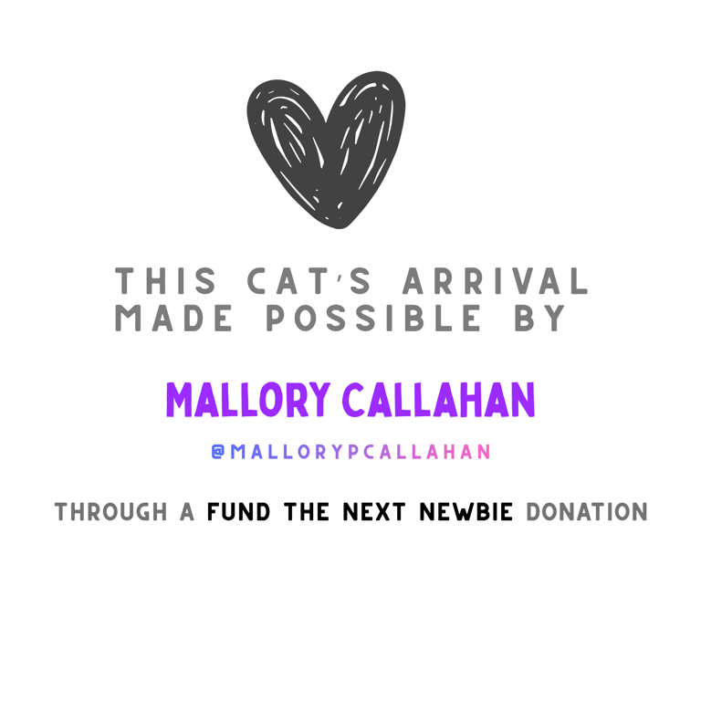 FTNN Donor Graphic(2).png
