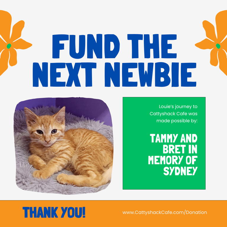 FTNN Donor Graphic(9).png