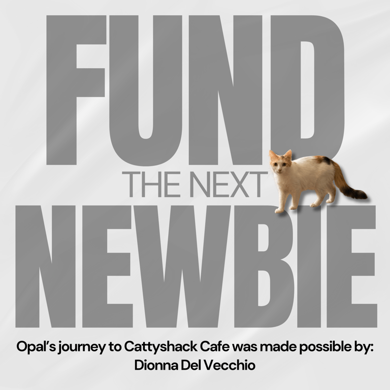 FTNN Donor Graphic(10).png