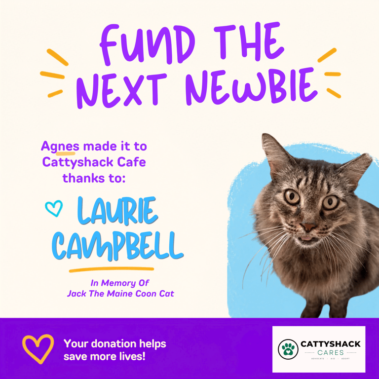 FTNN Donor Graphic(12).png