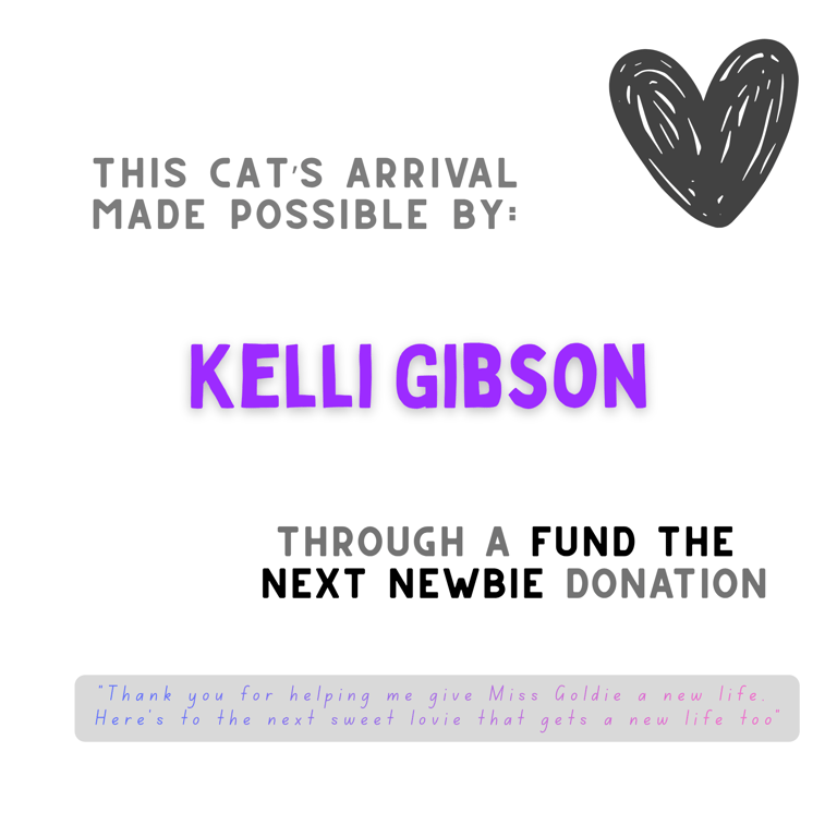 FTNN Donor Graphic(16).png