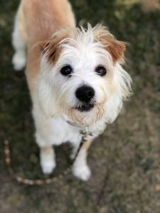 unnamed-11-3-225x300.jpg