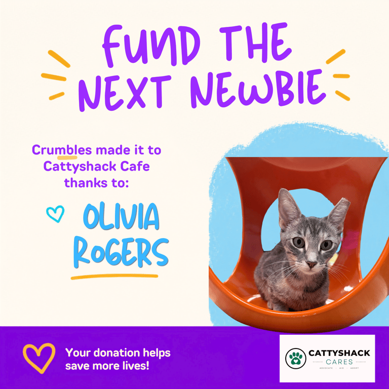 FTNN Donor Graphic (4).png